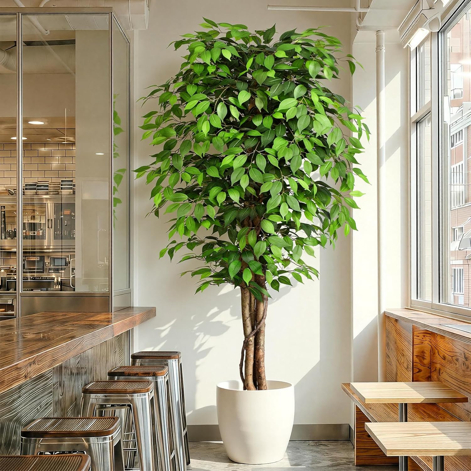 Dracaena Marginata - Arbre de ficus artificiel réaliste avec