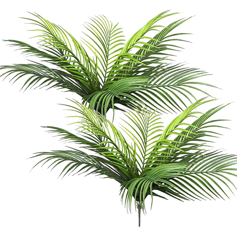 Dracaena Marginata - 20,47 pouces 9 feuilles de plantes