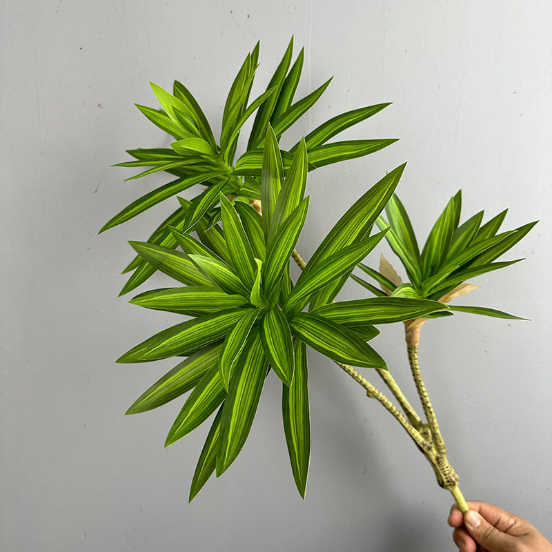 Dracaena Marginata - Plantes vertes simulées 3 têtes de