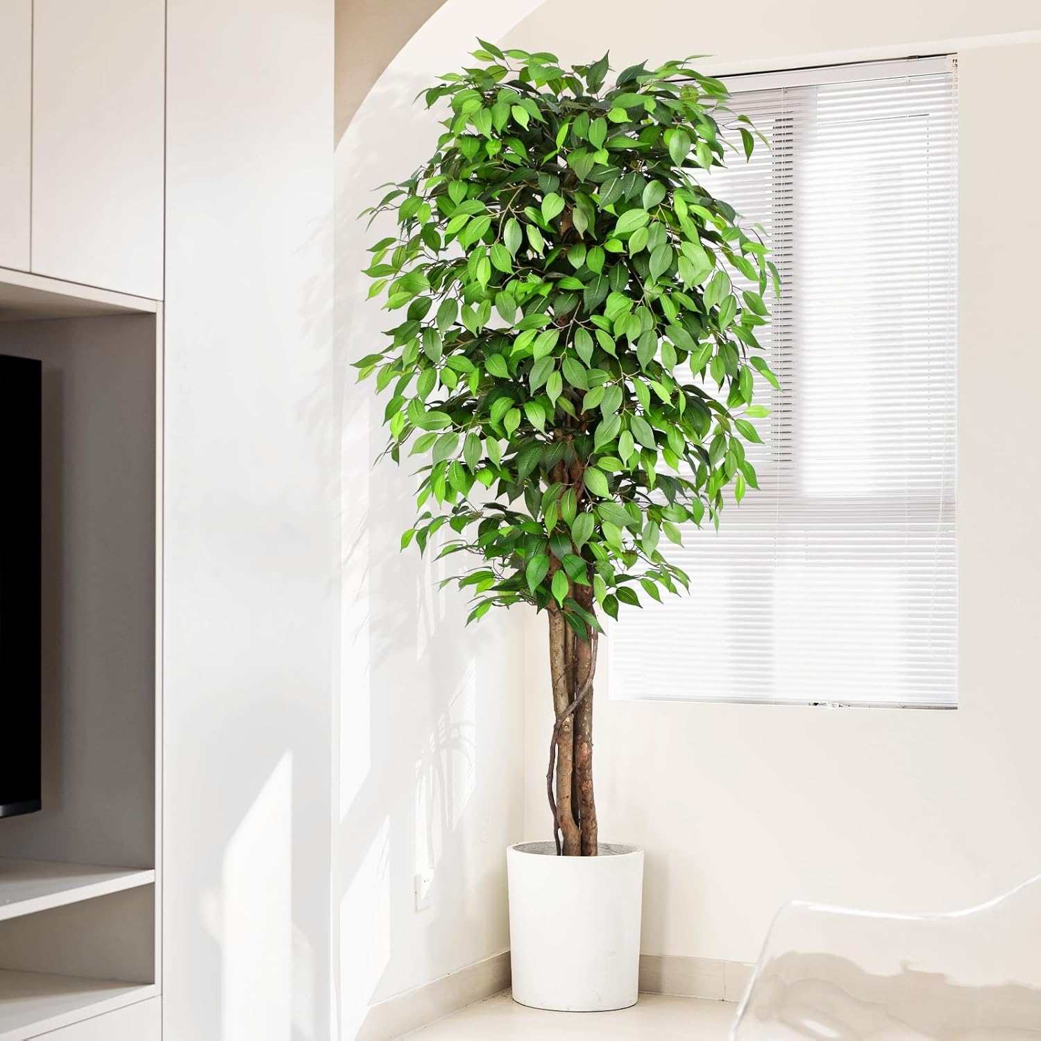 Arbre de ficus artificiel réal - Dracaena Marginata avis et prix