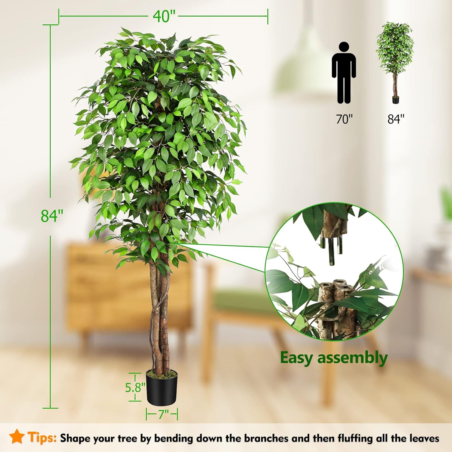 Arbre de ficus artificiel réal - Dracaena Marginata avis et prix