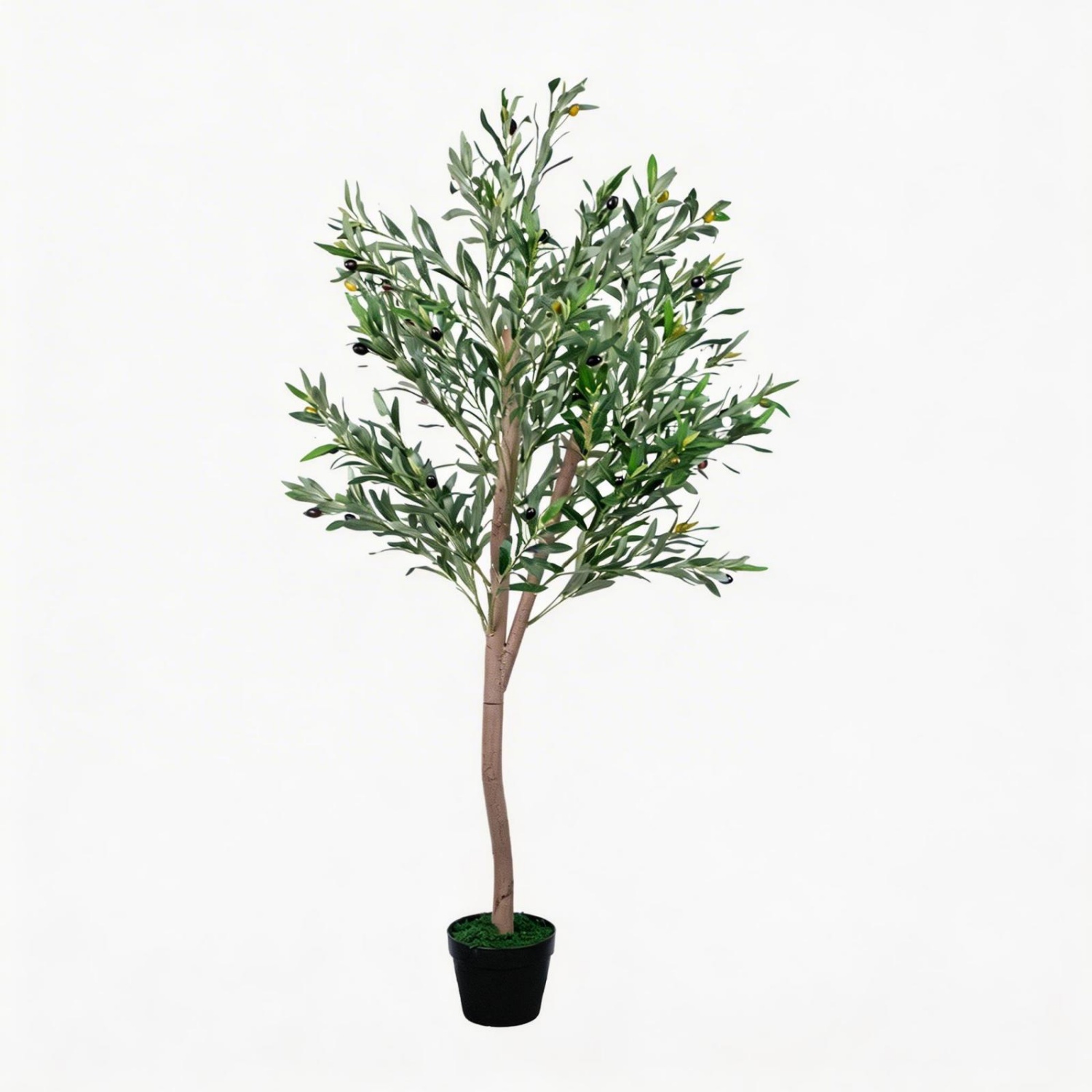 Olivier artificiel de 1,5 m, f - Dracaena Marginata avis et prix