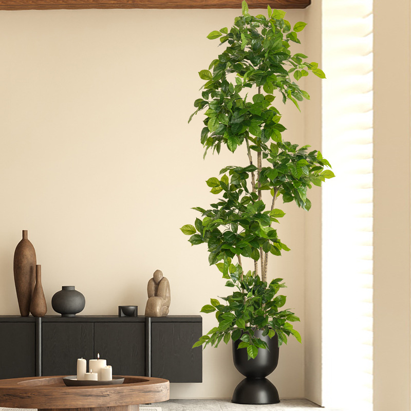 Grandes fausses plantes artifi - Dracaena Marginata avis et prix
