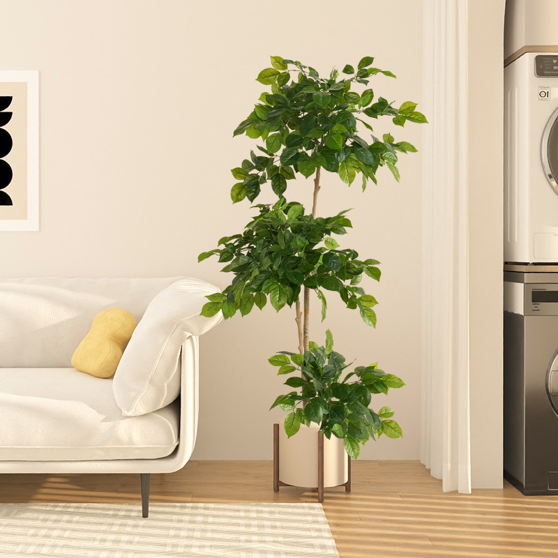 Grandes fausses plantes artifi - Dracaena Marginata avis et prix