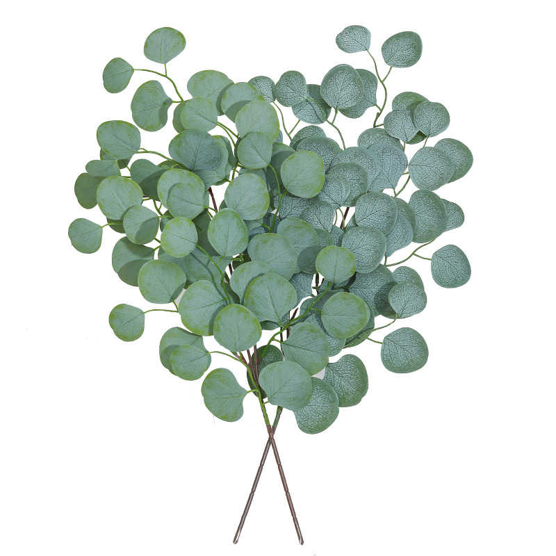 Plantes artificielles de vigne - Dracaena Marginata avis et prix
