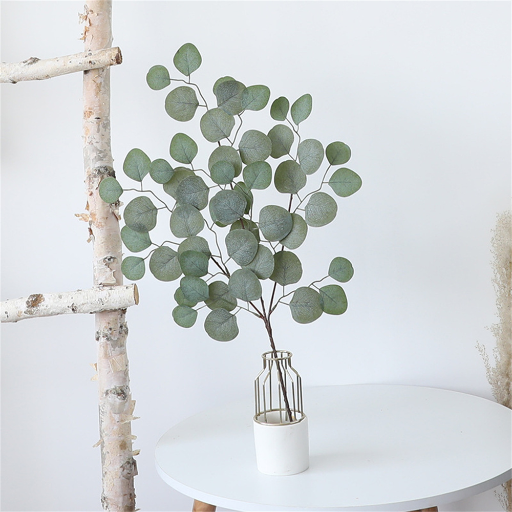 Plantes artificielles de vigne - Dracaena Marginata avis et prix