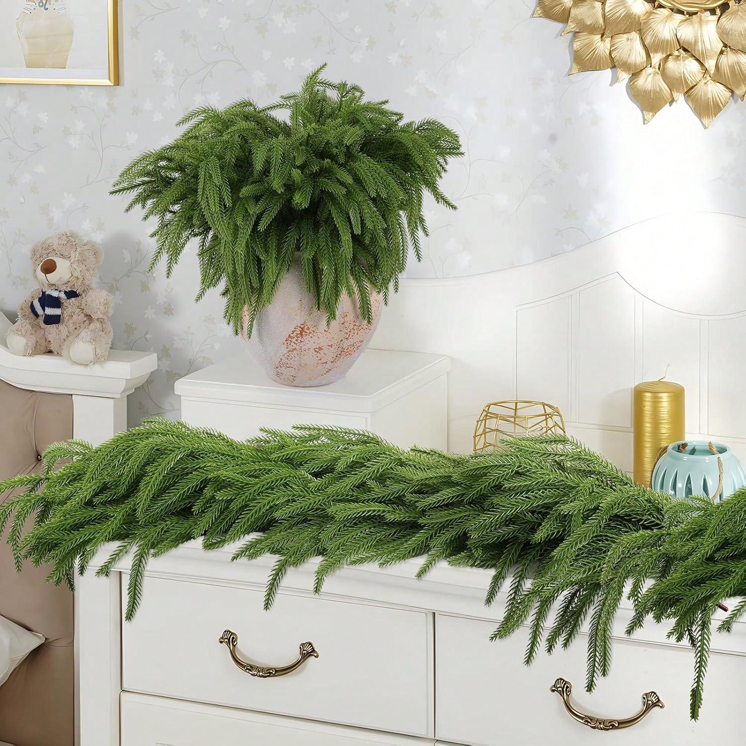 Branches de noël Norfolk, poin - Dracaena Marginata avis et prix