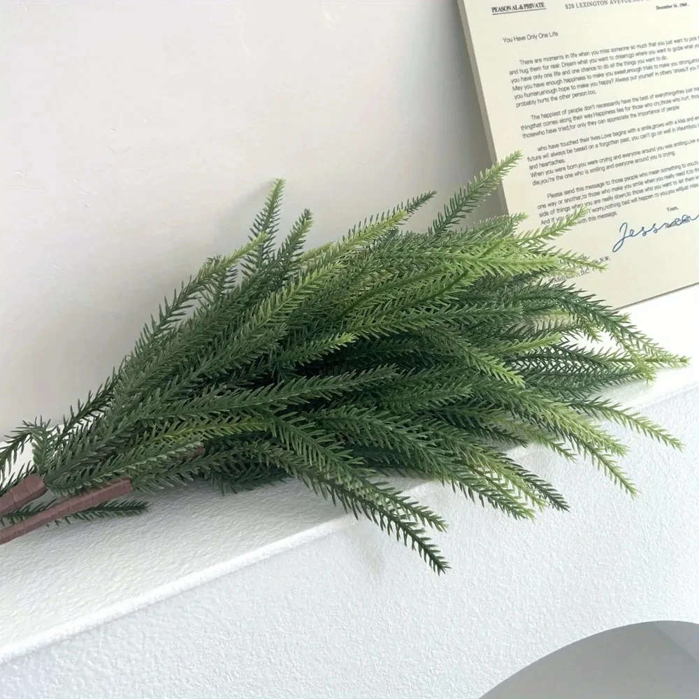 Branches de noël Norfolk, poin - Dracaena Marginata avis et prix